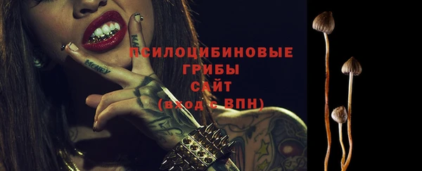 СК Балахна