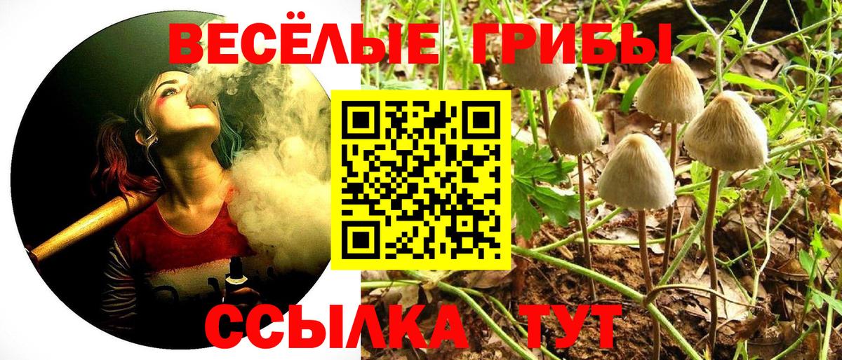 Галлюциногенные грибы Magic Shrooms Кунгур
