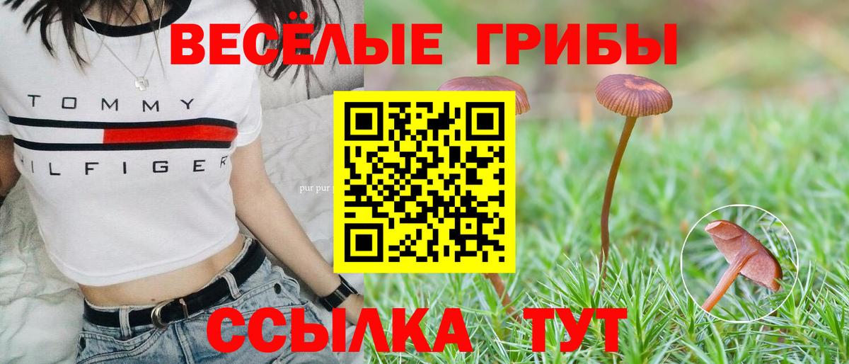 Кунгур  Галлюциногенные грибы Psilocybe  Вход с VPN  как найти закладки  Галлюциногенные грибы ЛСД 